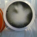 Mattress Vacuum Cleaner : UV Bed Vacuum Cleaner 500W 13Kpa Strong Suction, High Heating Tech, Deep Cleaning Bed Vacuum for Sofa/Bed/Fabric Surface(Corded,120V) photo review