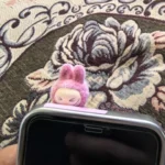 2025 New Ins Cartoon Cute 3d Labubu Handheld Rope Phone 16 Promax Phone Case For iphone 15 14 13 12 11 Pro Max Anti Fall Cover photo review