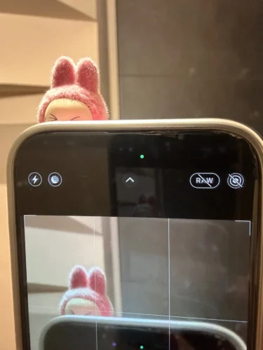 Silicone Suede Labubu Phone Case For Iphone 11 12 13 14 15 16pro Max Plus 16pro 15pro Diy Soft Brown Cover Coque Fall Prevention photo review