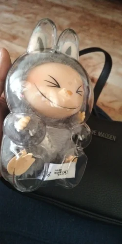 Protective Acrylic Case For Labubu V1/v2/v3  Transparent Portable Organizer Box Mystery Box Storage Case Display Bag photo review