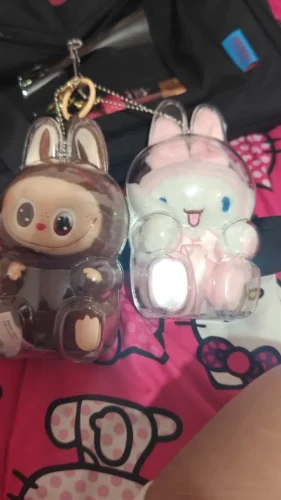 Protective Acrylic Case For Labubu V1/v2/v3  Transparent Portable Organizer Box Mystery Box Storage Case Display Bag photo review