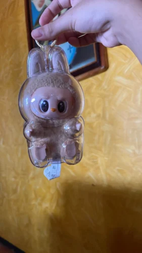 Protective Acrylic Case For Labubu V1/v2/v3  Transparent Portable Organizer Box Mystery Box Storage Case Display Bag photo review