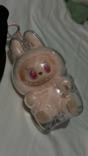 Protective Acrylic Case For Labubu V1/v2/v3  Transparent Portable Organizer Box Mystery Box Storage Case Display Bag photo review