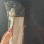 Silicone Suede Labubu Phone Case For Iphone 11 12 13 14 15 16pro Max Plus 16pro 15pro Diy Soft Brown Cover Coque Fall Prevention photo review