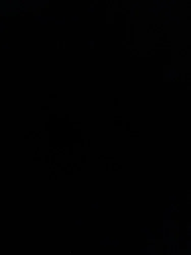 2025 New Ins Cartoon Cute 3d Labubu Handheld Rope Phone 16 Promax Phone Case For iphone 15 14 13 12 11 Pro Max Anti Fall Cover photo review