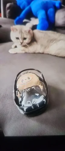 New 2025 Genuine Labubu The Monsters Big Into Energy Series Wireless Charger Peripheral Desktop Ornament Toy Birthday Girl Gift photo review